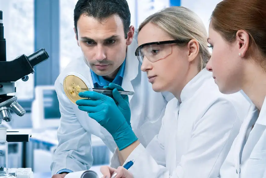 Three scientists sit closely in a lab, focused on the petri dish being held by the middle one