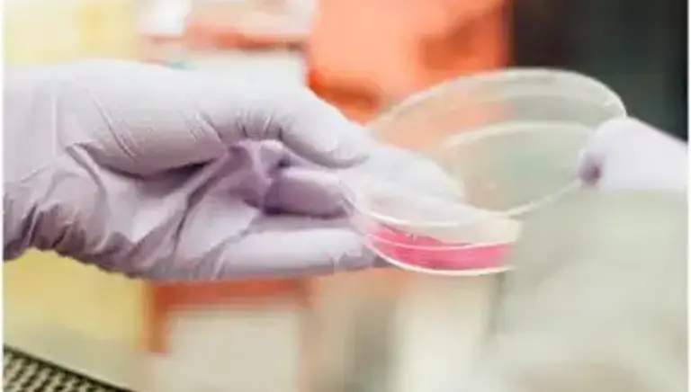 Close up of the gloved hand of a scientist holding a petri dish