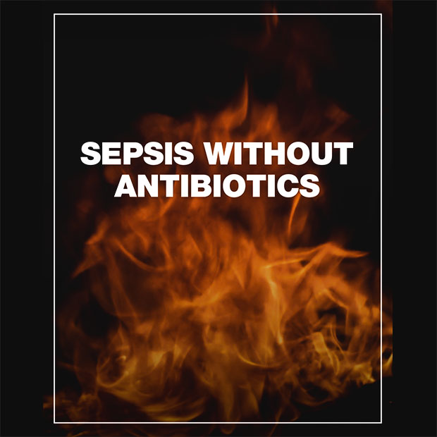 Sepsis Fire Water Purple 4 5 Cover 620 V3