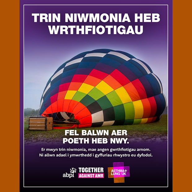 Welsh Hotairballoon Static Cover
