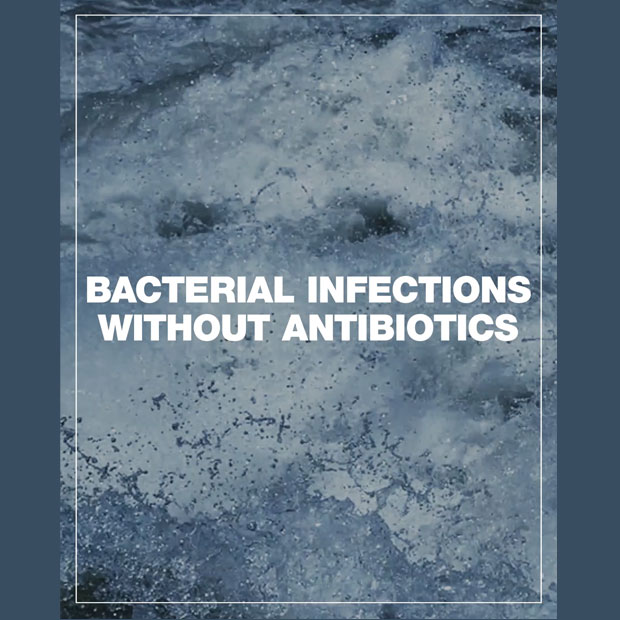 Bacterial Infections River 4 5 Cover