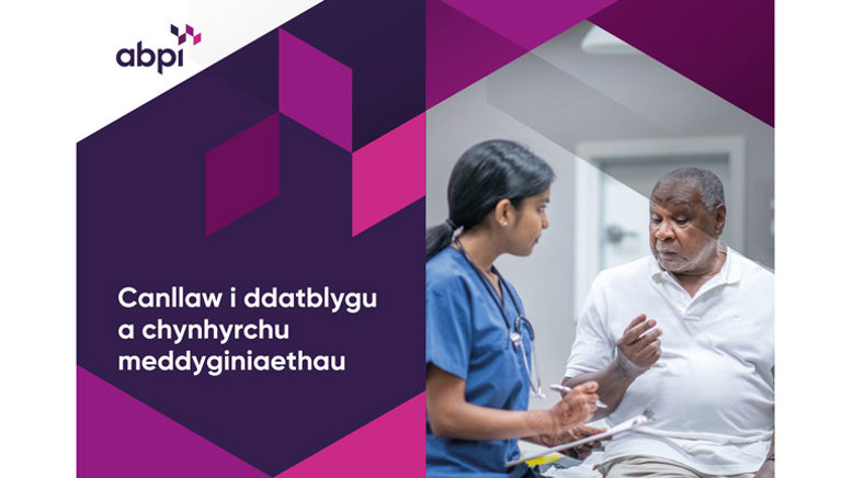 Canllaw i ddatblygu a chynhyrchu meddyginiaethau